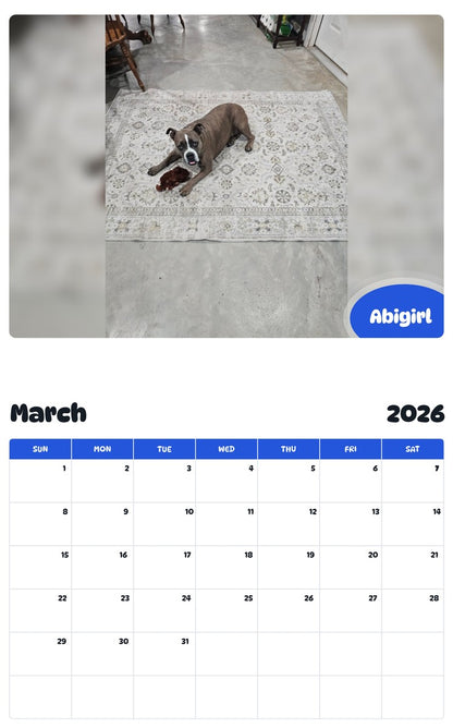 November 2025 - October 2026 Abigirl - Pawidols Pet Calendar
