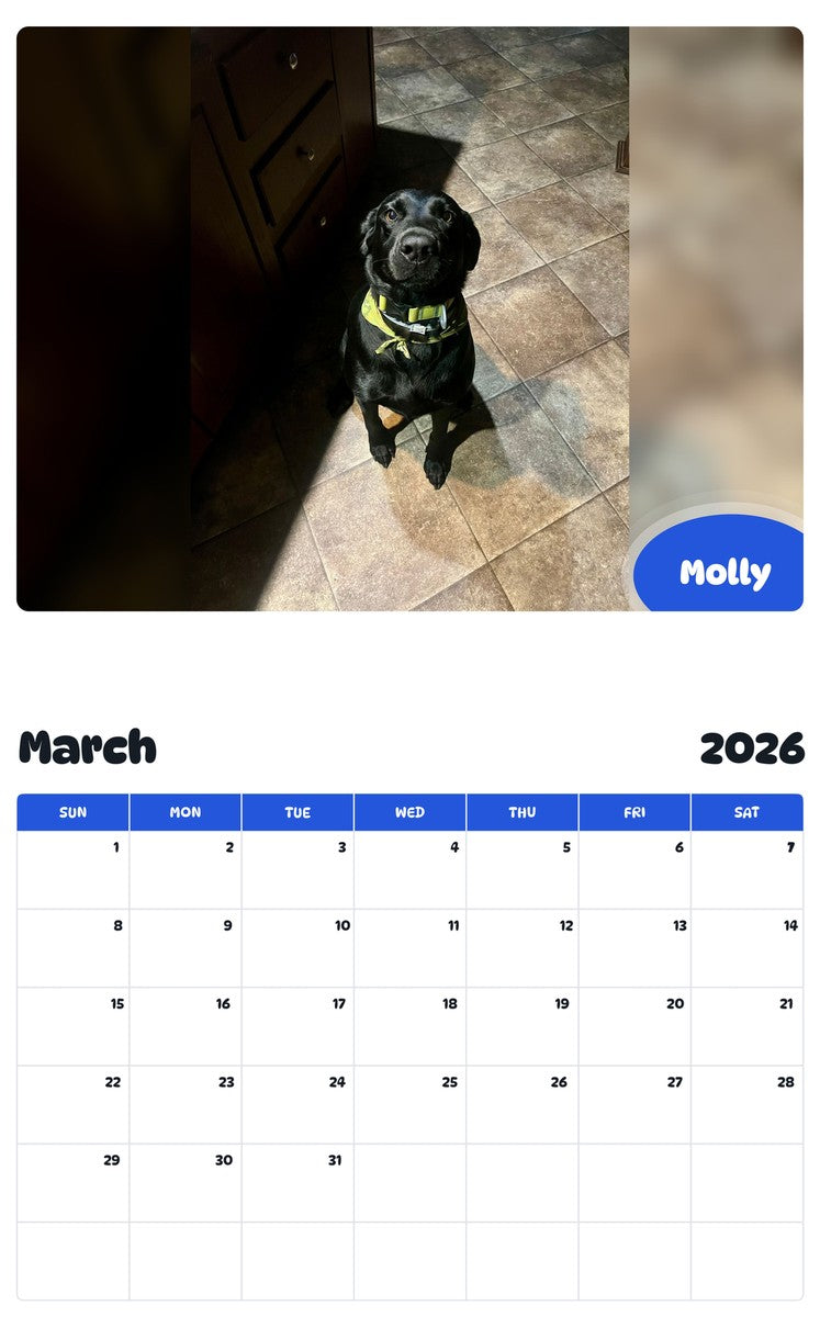 November 2025 - October 2026 Molly - Pawidols Pet Calendar