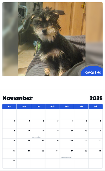 July 2025 - June 2026 Chica two - Pawidols Pet Calendar
