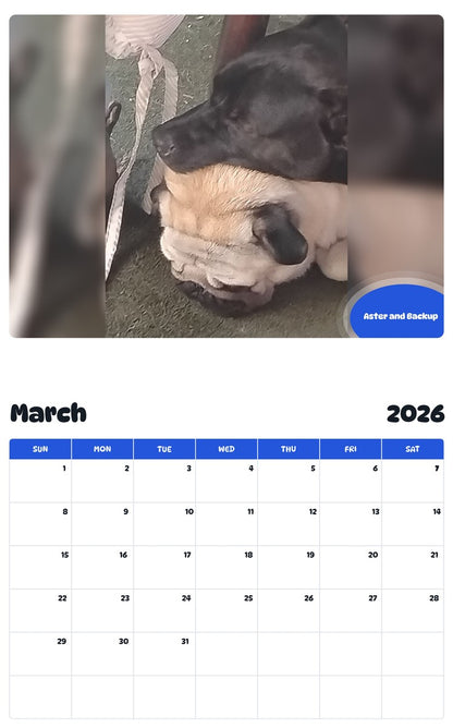 November 2025 - October 2026 Aster and Backup - Pawidols Pet Calendar