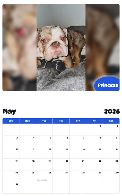 2026 - 2027 Princess - Pawidols Pet Calendar