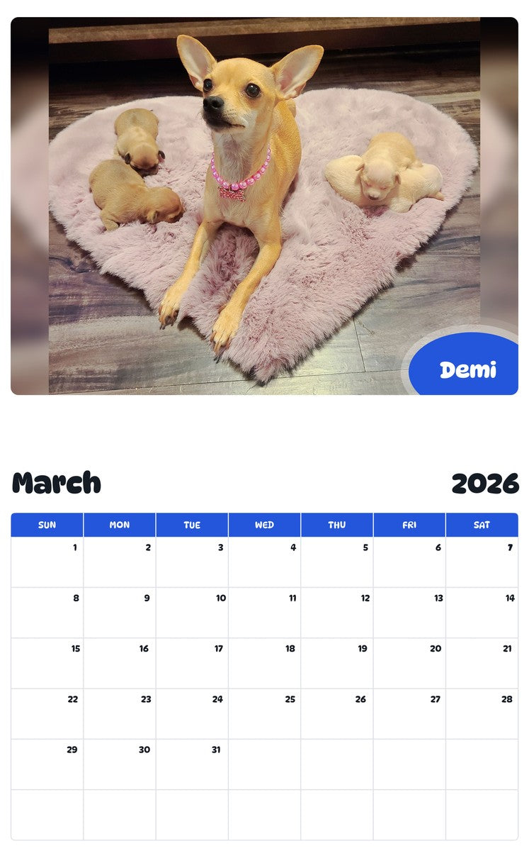 November 2025 - October 2026 Demi - Pawidols Pet Calendar