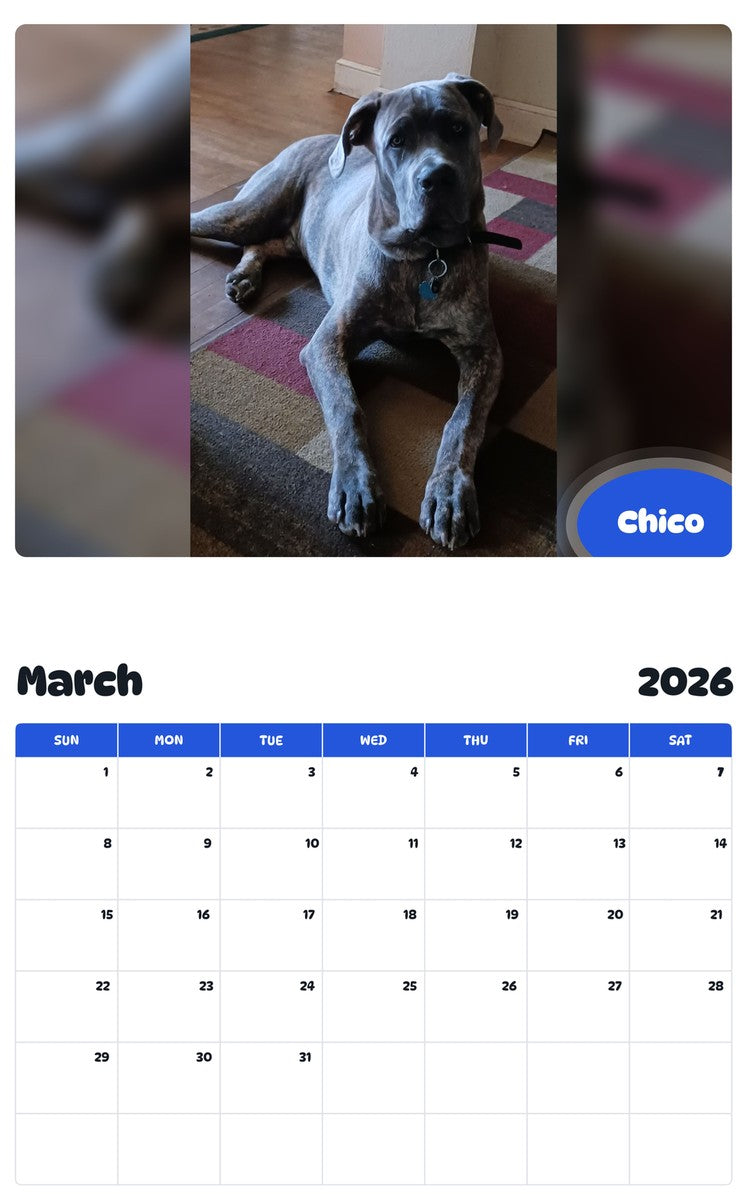 November 2025 - October 2026 Chico - Pawidols Pet Calendar