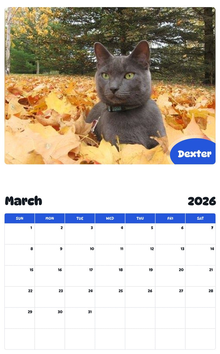 November 2025 - October 2026 Dexter - Pawidols Pet Calendar