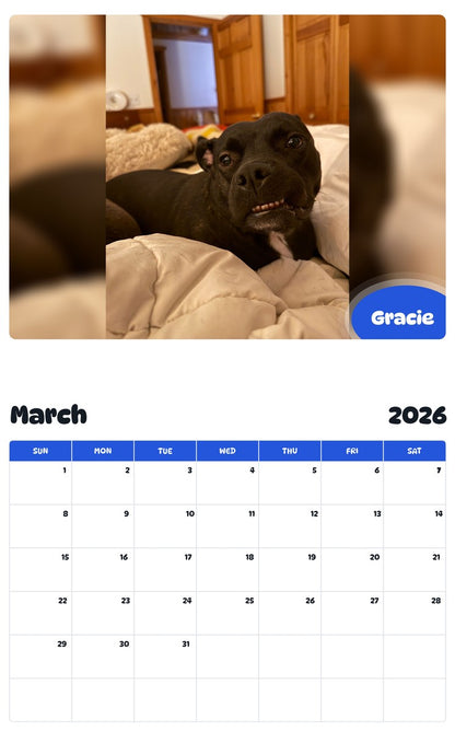 November 2025 - October 2026 Gracie - Pawidols Pet Calendar