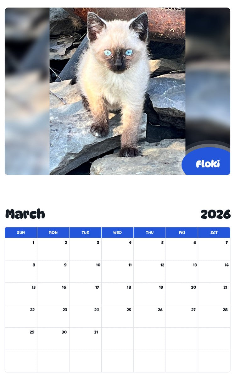 November 2025 - October 2026 Floki - Pawidols Pet Calendar