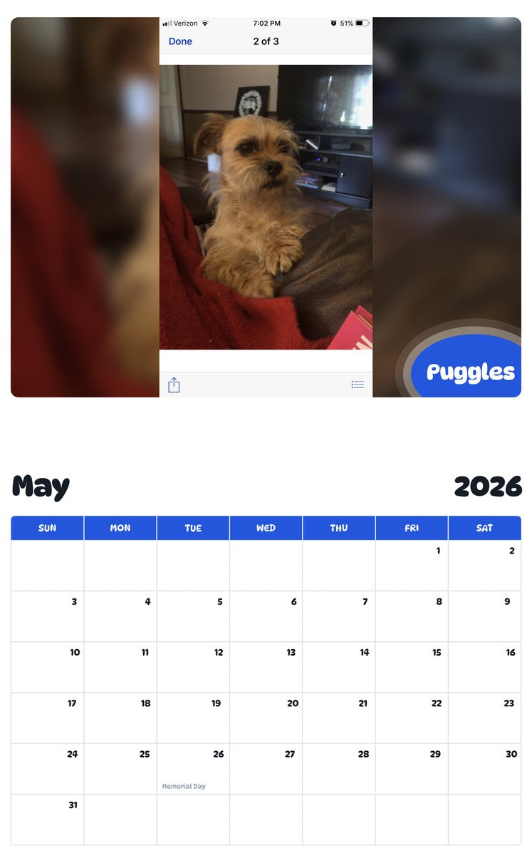 2026 - 2027 Puggles - Pawidols Pet Calendar