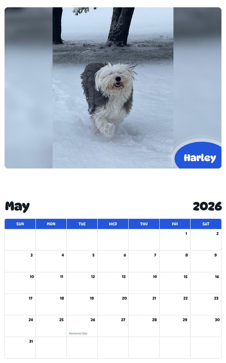 2026 - 2027 Harley - Pawidols Pet Calendar