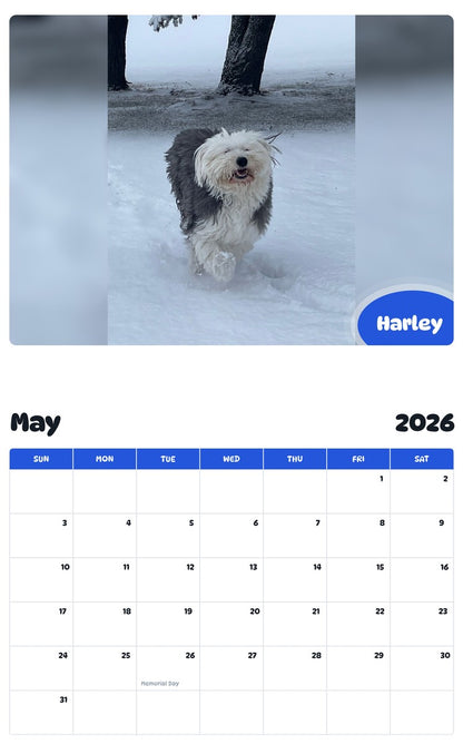 2026 - 2027 Harley - Pawidols Pet Calendar