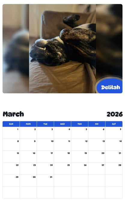 November 2025 - October 2026 Delilah - Pawidols Pet Calendar