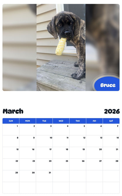 November 2025 - October 2026 Bruce - Pawidols Pet Calendar