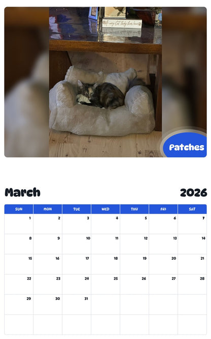 November 2025 - October 2026 Patches - Pawidols Pet Calendar