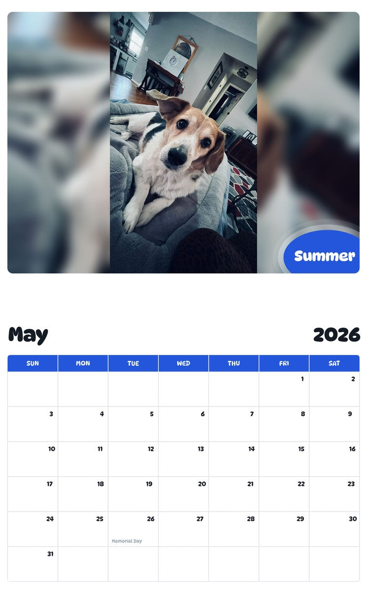 2026 - 2027 Summer - Pawidols Pet Calendar