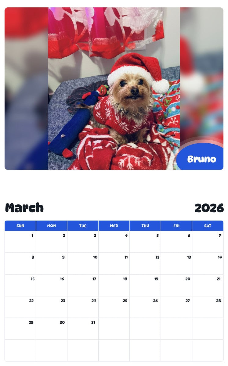 November 2025 - October 2026 Bruno - Pawidols Pet Calendar