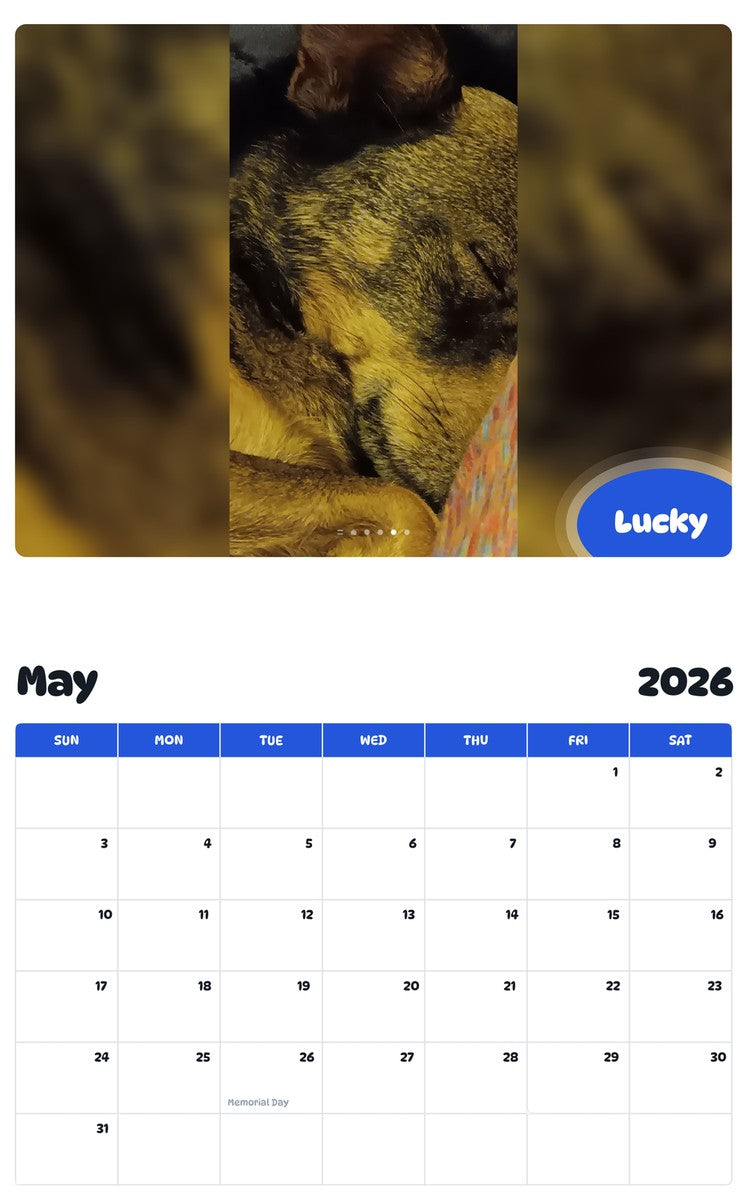 2026 - 2027 Lucky - Pawidols Pet Calendar