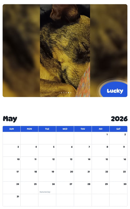 2026 - 2027 Lucky - Pawidols Pet Calendar