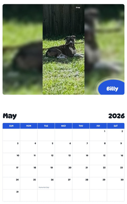 2026 - 2027 Billy - Pawidols Pet Calendar