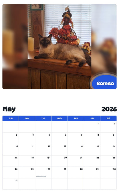2026 - 2027 Romeo - Pawidols Pet Calendar