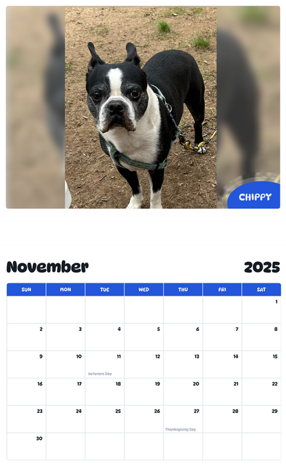 July 2025 - June 2026 Chippy - Pawidols Pet Calendar