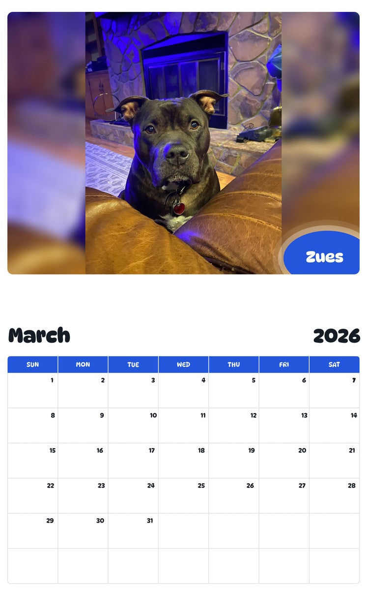November 2025 - October 2026 Zues - Pawidols Pet Calendar