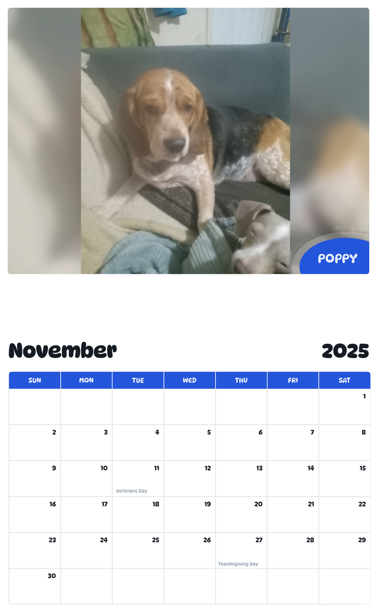 July 2025 - June 2026 Poppy - Pawidols Pet Calendar