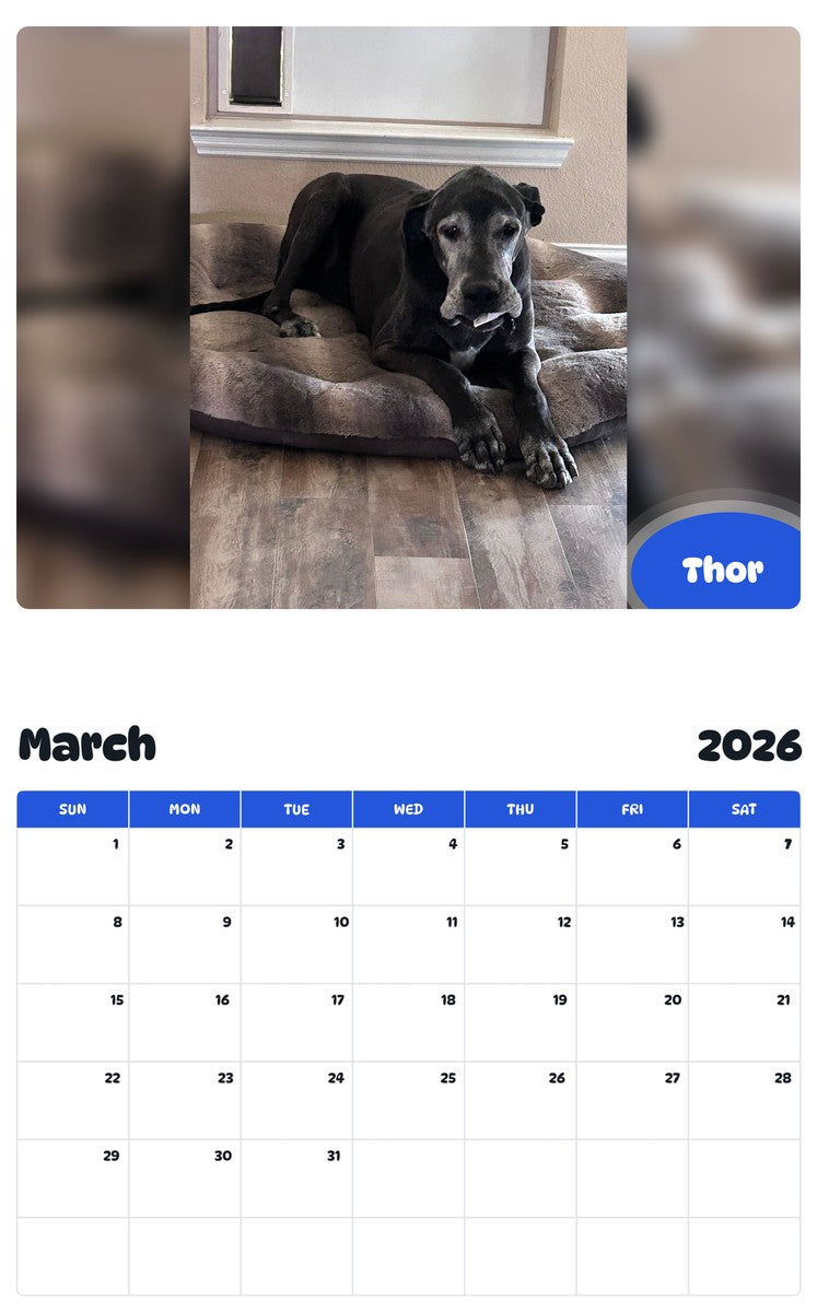 November 2025 - October 2026 Thor - Pawidols Pet Calendar
