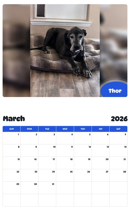 November 2025 - October 2026 Thor - Pawidols Pet Calendar