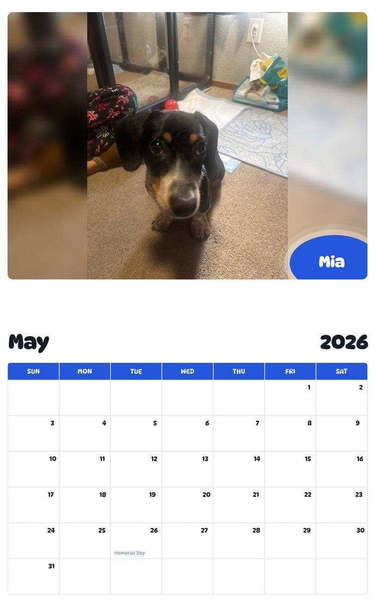2026 - 2027 Mia - Pawidols Pet Calendar