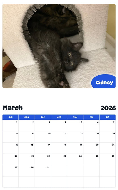 November 2025 - October 2026 Cidney - Pawidols Pet Calendar