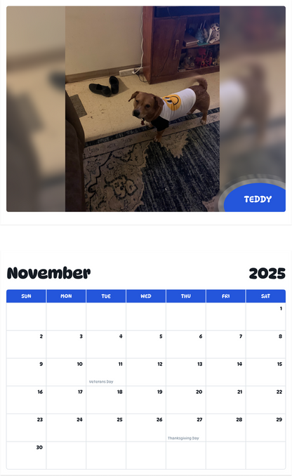 July 2025 - June 2026 Teddy - Pawidols Pet Calendar
