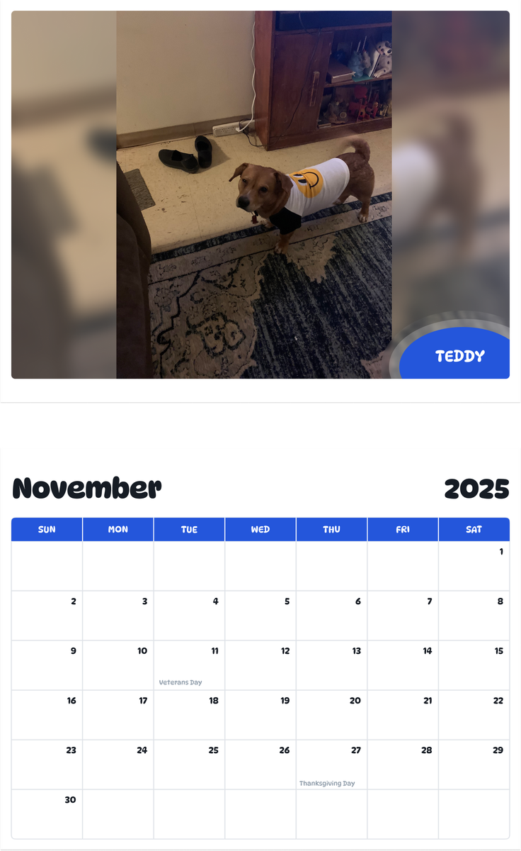 July 2025 - June 2026 Teddy - Pawidols Pet Calendar