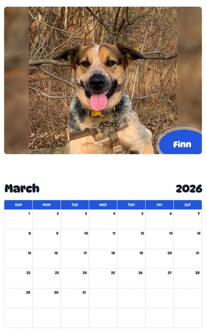 November 2025 - October 2026 Finn - Pawidols Pet Calendar
