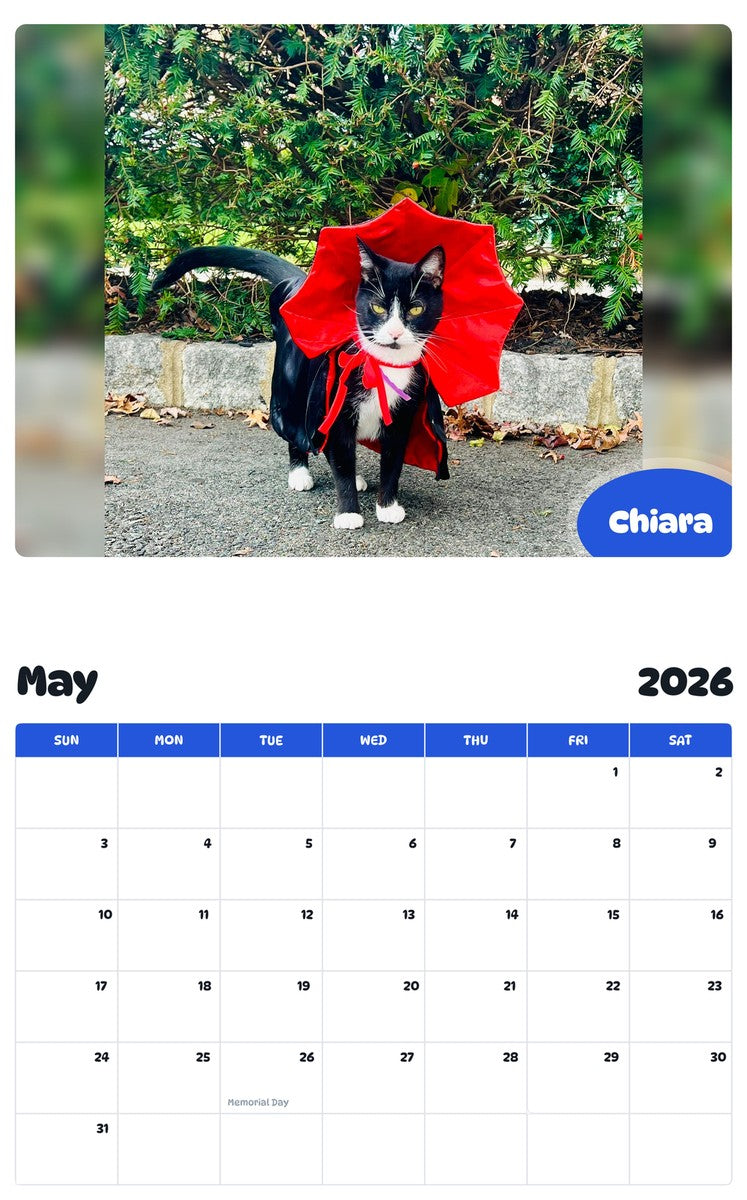 2026 - 2027 Chiara - Pawidols Pet Calendar