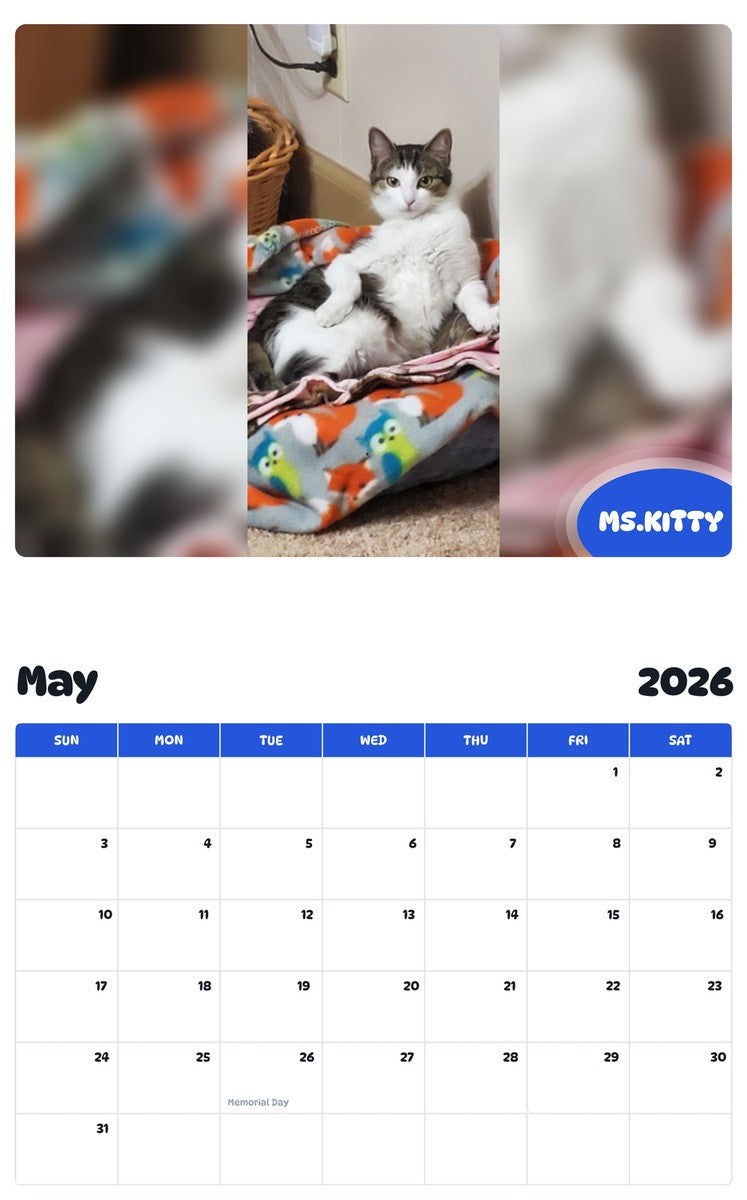 2026 - 2027 MS.KITTY - Pawidols Pet Calendar