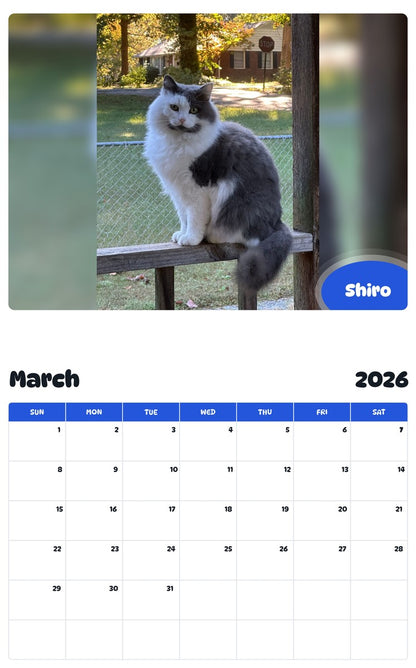 November 2025 - October 2026 Shiro - Pawidols Pet Calendar