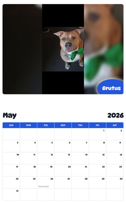 2026 - 2027 Brutus - Pawidols Pet Calendar