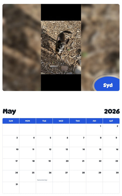 2026 - 2027 Syd - Pawidols Pet Calendar