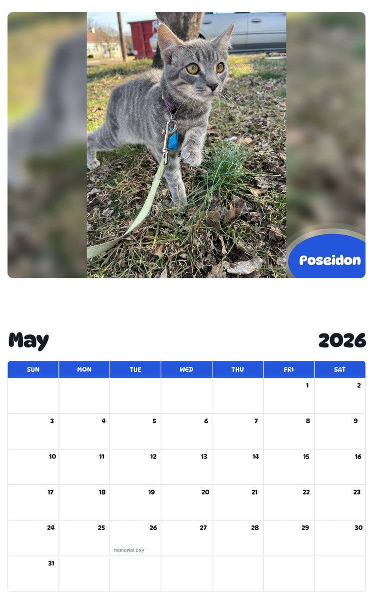 2026 - 2027 Poseidon - Pawidols Pet Calendar
