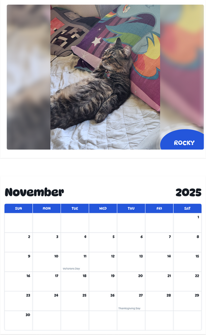 July 2025 - June 2026 Rocky - Pawidols Pet Calendar
