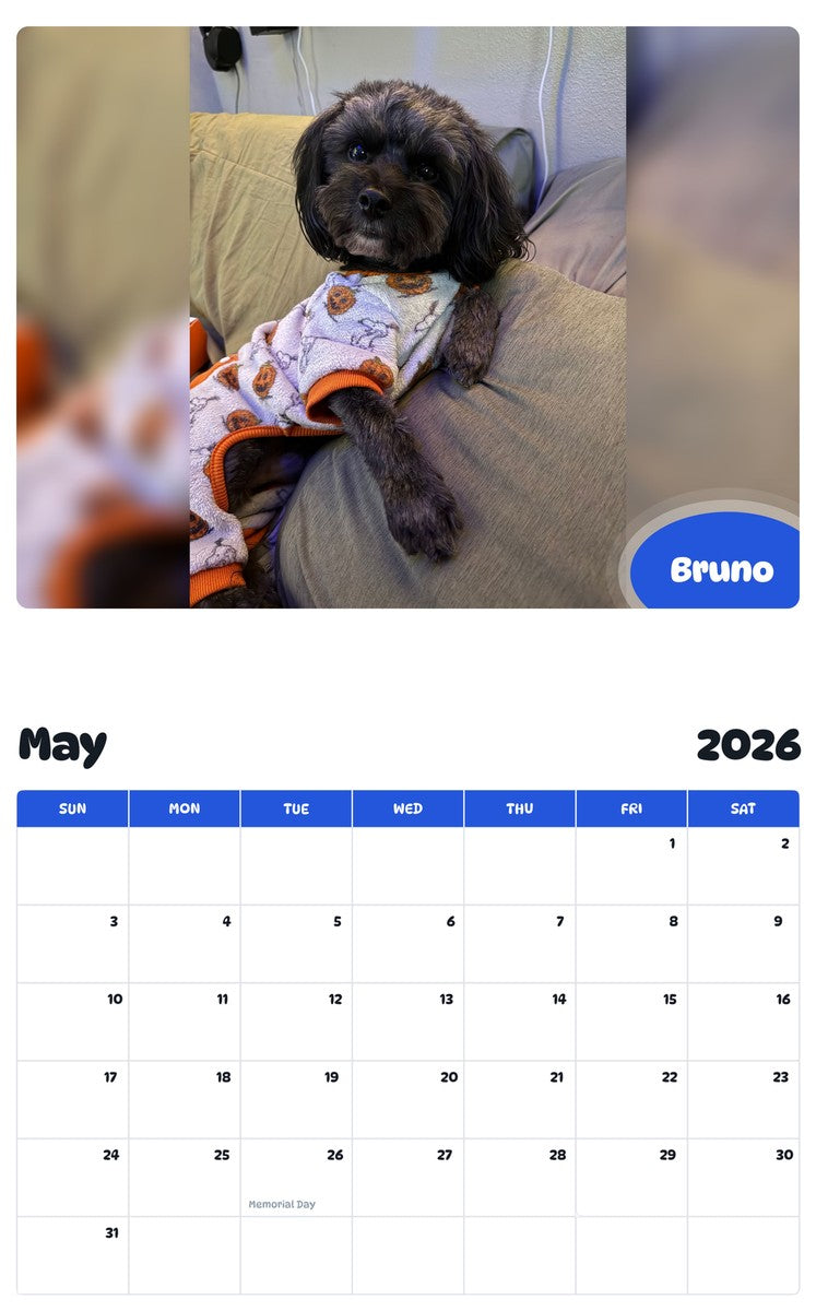 2026 - 2027 Bruno - Pawidols Pet Calendar