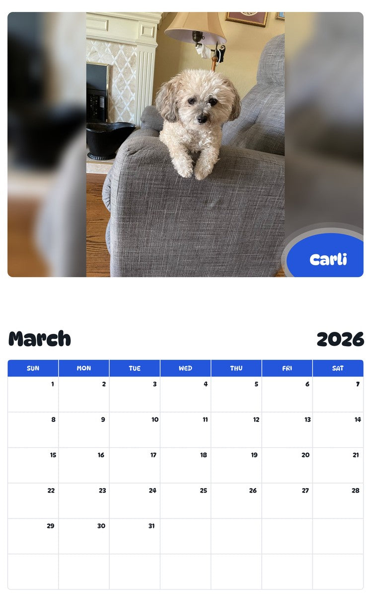 November 2025 - October 2026 Carli - Pawidols Pet Calendar