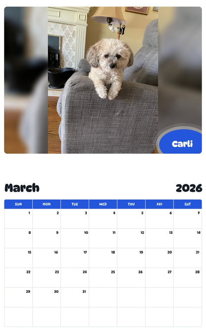 November 2025 - October 2026 Carli - Pawidols Pet Calendar