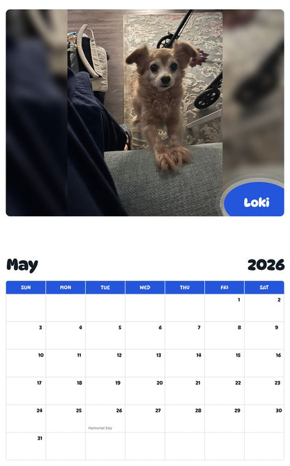 2026 - 2027 Loki - Pawidols Pet Calendar