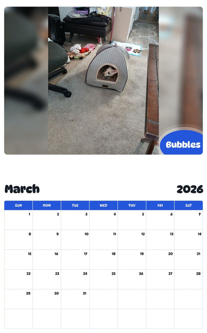 November 2025 - October 2026 Bubbles - Pawidols Pet Calendar
