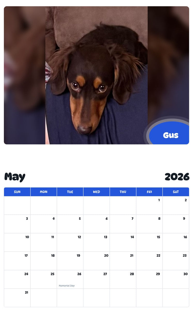 2026 - 2027 Gus - Pawidols Pet Calendar
