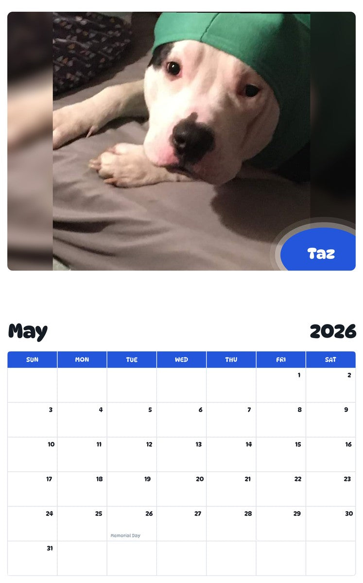 2026 - 2027 Taz - Pawidols Pet Calendar