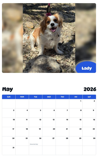 2026 - 2027 Lady - Pawidols Pet Calendar