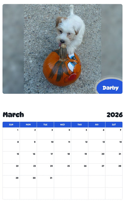 November 2025 - October 2026 Darby - Pawidols Pet Calendar