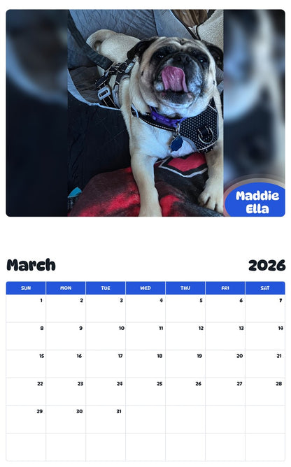 November 2025 - October 2026 Maddie Ella - Pawidols Pet Calendar