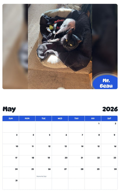 2026 - 2027 Mr. Beau - Pawidols Pet Calendar